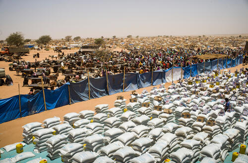 Sudan survivors in Chad -28