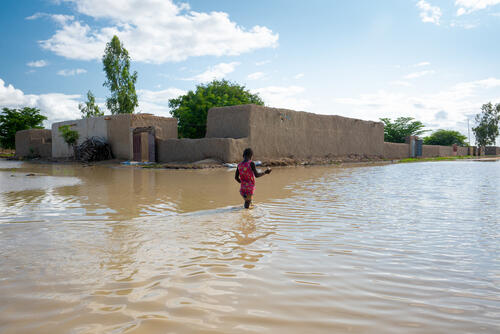 Floodings in Tenenkou