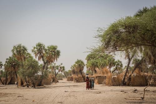 IDPs in Bol, at lake of Chad