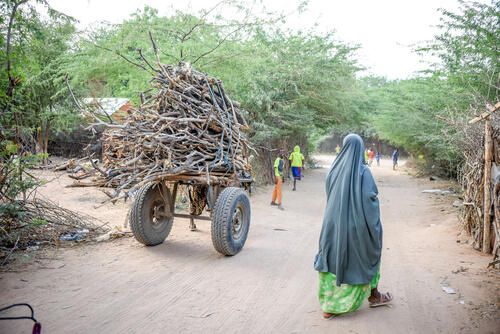 A donkey cart carrying firewood is seen in the streets of Dagahaley Camp in Dadaab