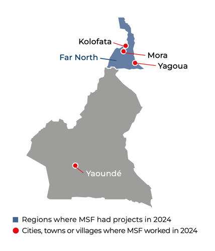 Cameroon IAR map 2024