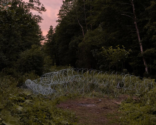 Wire fence on the Polish-Belarusian Border