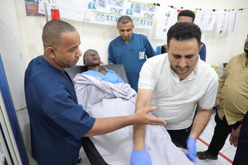 Emergency care simulation