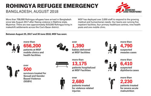 Rohingya Emergency overview, August 2018