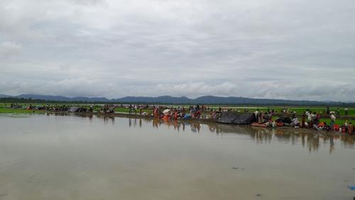 Rohingyas Fleeing into Bangladesh