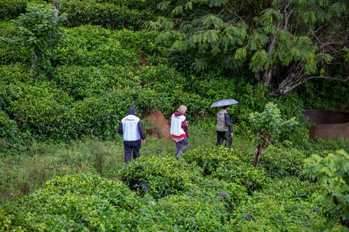 MSF water and sanitation team lead, and MSF technical logistics manager, walk towards the well near the temporary safety centre in Aagarathenna
