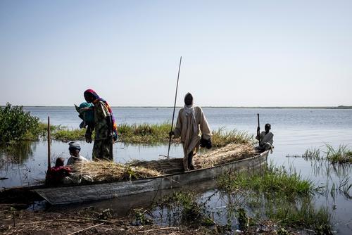 Medical and mental healthcare for people displaced by violence in the Lake Chad area.