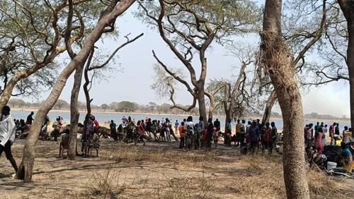 Families shelter under trees in Nyatim