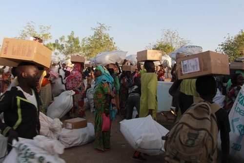 Nigeria: Searching for aid after fleeing the fighting