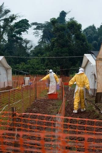 Ebola, Equateur province, DRC