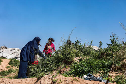 أنشطة أطباء بلا حدود في غزة