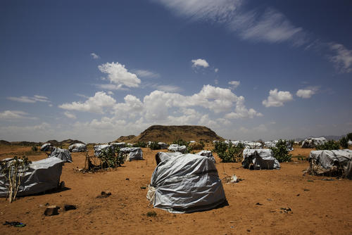Sudan: Sandstorms, solitary donkeys and chewing tobacco