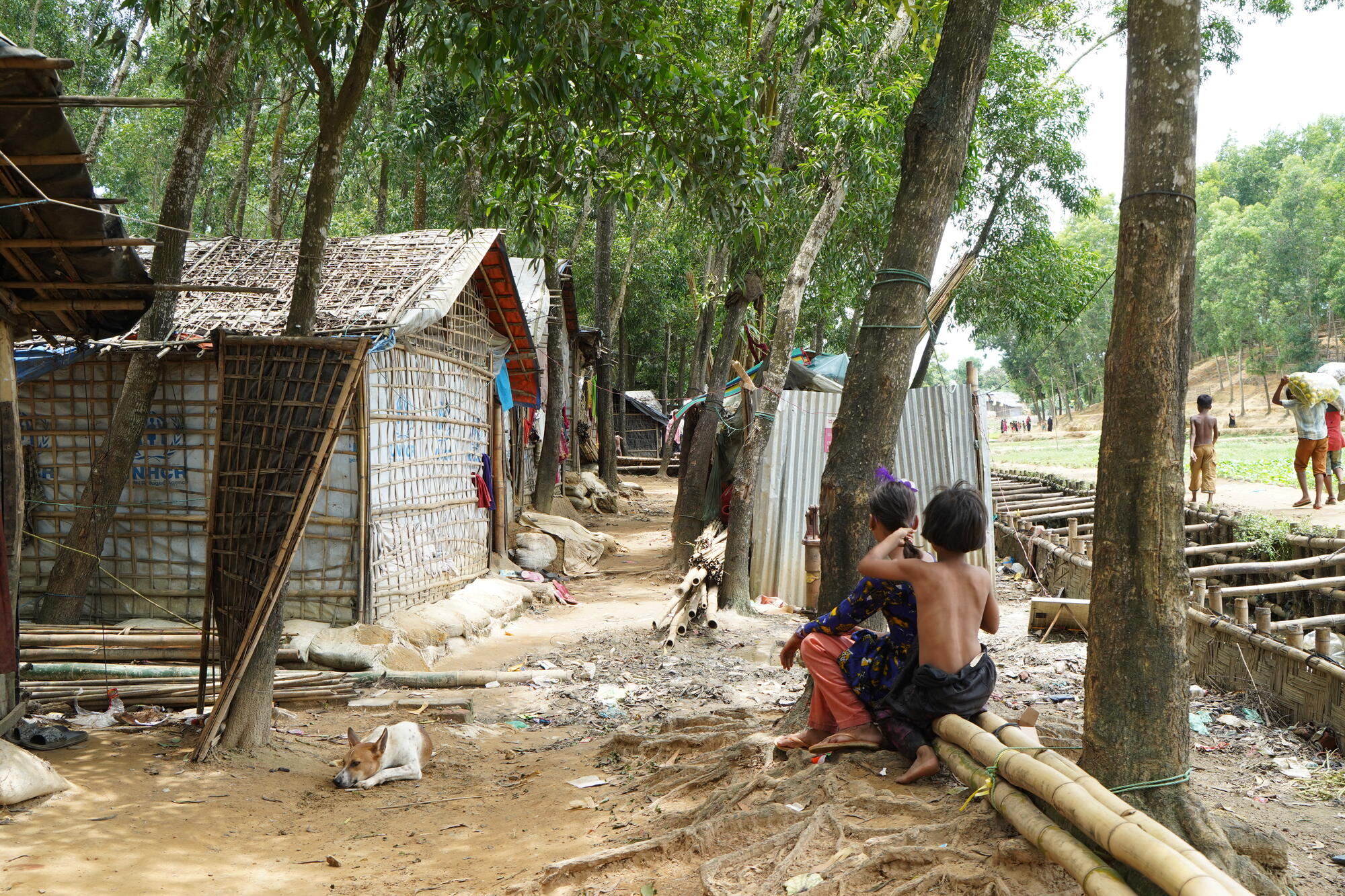 ?The collective fate of the Rohingya is in our hands”