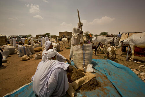 Sudan: Sandstorms, solitary donkeys and chewing tobacco