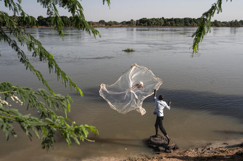 Chad. N'Djamena. Mielizi camp. In front of the Mielizi IDP camp, a man tries to catch fish for the family using a hand net. The military police, for safety reasons, has forbidden boat fishing in the watercourses close to the camps, forcing the men to try to fish near the shore, with poor results most of the time. In Chad, fish is the main sustenance for people living along the waterways. Many men have invested their savings to buy a boat to become fishermen. Being a fisherman guarantees food for your family and also allows you to sell it.