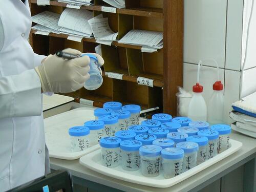MSF treats DR-TB cases