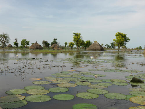 Large view flooded homes in Rubkona
