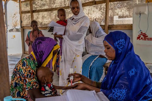 Humanitarian crisis in Diffa, Niger