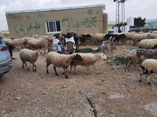 Palestinian community in Jinba, Hebron governorate, West Bank, Occupied Palestinian Territories.