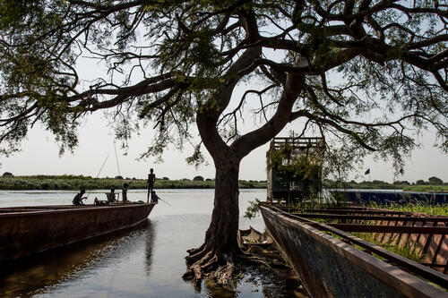 Children are fishing standing on an abandoned barge in the port of Old Fangak on the Phow River (or Bahr El Zaraf, giraffe in Arabic), a branch of the White Nile in Jonglei State, 100 km south of Malakal city. No roads access the village. Only the boat or small planes. Bor, the big city in the south, is 2 days away by barge.

Des enfants pêchent depuis une barge abandonnée, dans le port de Old Fangak, sur la rivière Phow (ou Bahr El Zaraf, girafe en arabe), une branche du Nil Blanc, dans l'État de Jonglei, à 100 km au sud de la ville de Malakal. Pas de routes pour accéder au bourg. Seulement le bateau ou de petits avions. Bor, la grande ville au sud est à 2 jours de barges.