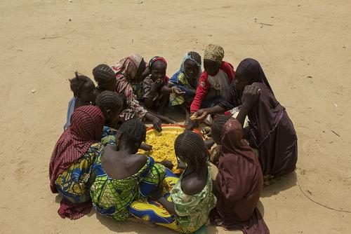 Violence and displacement in Borno State