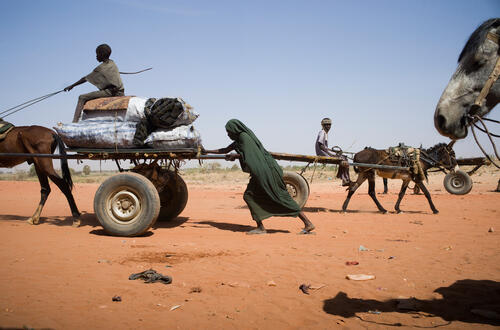 Sudan survivors in Chad -31