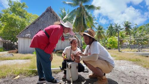 MSF’s water and sanitation team (WASH) investigate the status of well and pump at Tabontebike Primary School in Abaiang, Kiribati. This is part of MSF’s work improving the wash infrastructure at primary schools, communities and health clinics in Abaiang.