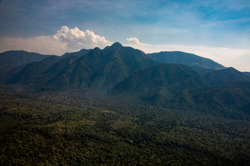 A general view of the Virunga National Park that separates Bambo and Kibirizi hospitals from Ruthsuru General Referral Hospital. All the three structures are supported by MSF.