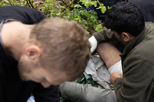 Medical intervention in Bialowezia forest