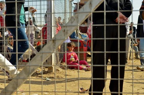 Influx of Syrians into Domeez Camp, Iraq