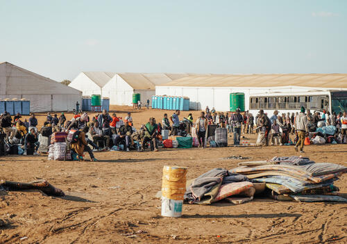 In Musina, thousands of people queue daily for buses back to their home countries after being displaced by anti-migrant violence and harassment in South Africa