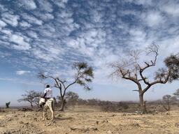 MSF Providing Healthcare Neglected Population in Jebel Marra - Darfur Region