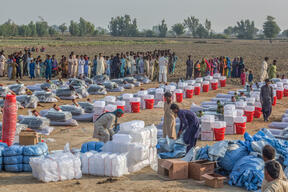 Non Food Items distribution