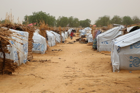 Displaced in Borno state