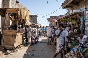 Landmines in Taiz and Hodeidah governorates