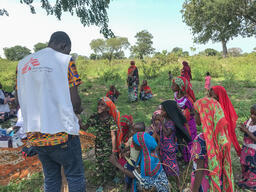 Measles vaccination in nomadic settlement, Chad