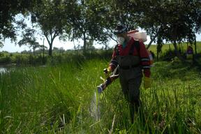 Venezuela: How studying mosquito behavior help bring down malaria in Sucre state