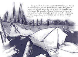 Darien Survivor letter illustration 4