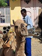 MSF addresses immediate needs for clean water and sanitation in conflict affected areas of Tigray