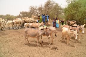 Health centers for malian refugees, all uses.