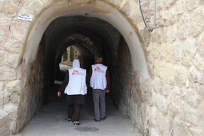 Mental Health Activities in The Palestinian Territories