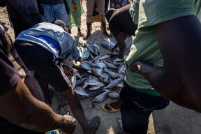 MSF provides healthcare in Mocímboa da Praia as thousands of displaced people return