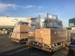 Coronavirus: MSF intervenes in Iran