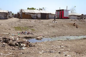 Dead goat, Bentiu internally displaced persons camp