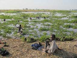 Renewed conflict in Upper Nile, South Sudan