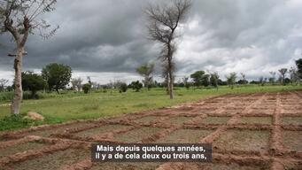 Humanitarian crises and climate change in Cameroon - Webclip FRENCH