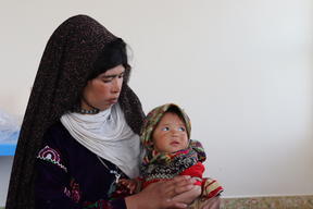 Families suffering from displacement in Herat, Afghanistan