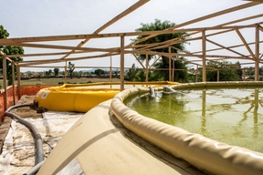 Lake Tchad Crisis: Responding to the humanitarian consequences of violence  (Extreme North Cameroon)