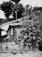 #ImagineRohingya, June 20th 2023: World Refugee Day