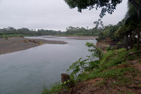Panama: Surviving the dangers of the Darién gap